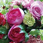 FRAGRANCE OF ROSE ���Х�ι�꡼