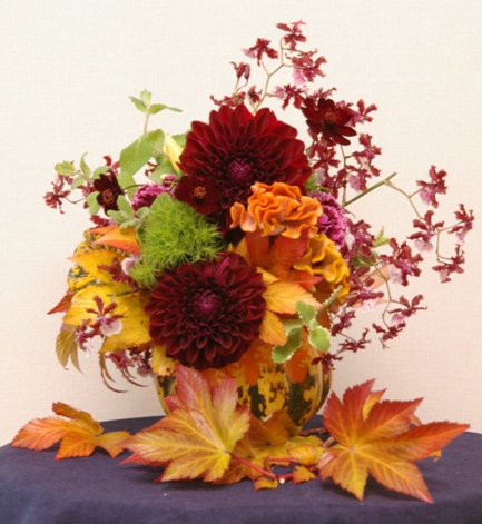 ���������ȥ��祳��ι��