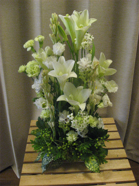 �ۥ磻�ȥե������