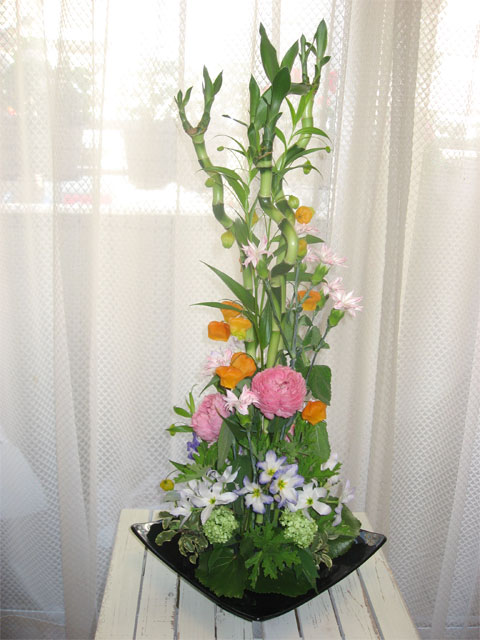 ��塼�����꡼��