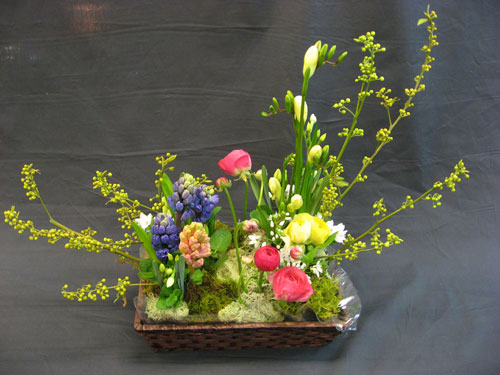 ��դι���������-1