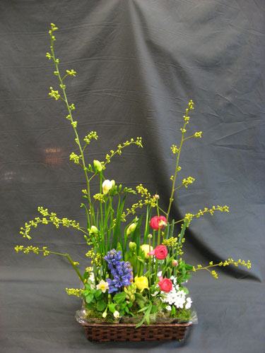 ��դι���������-2