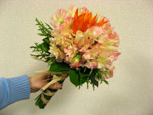 ���塼��åפ�Ȥä��ϥ�ɥ����ɥ֡���-1