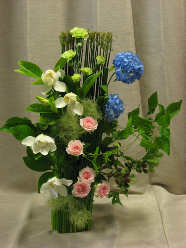 �����ǥ˥���Ȥä��֡���-1